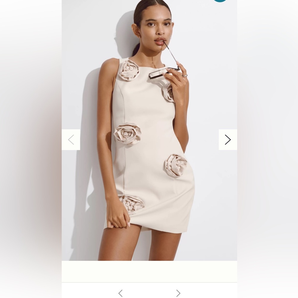 Endless rose sleeveless 3d floral corsage mini dress